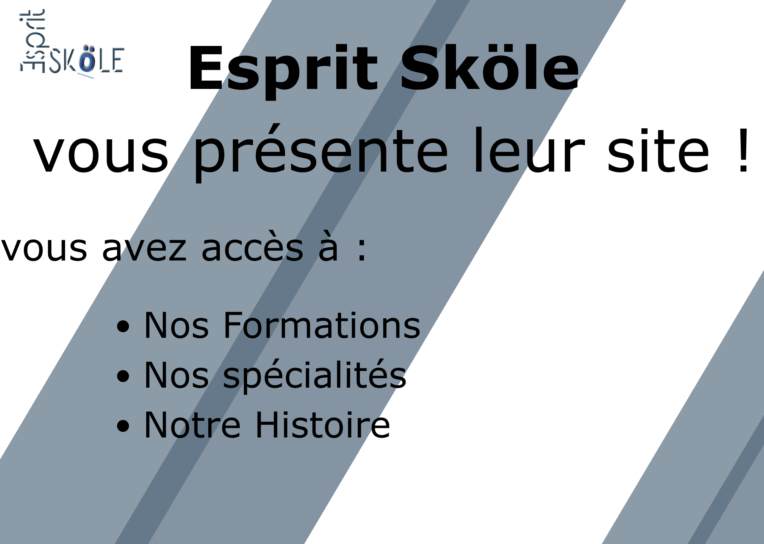 affiche début du site (2)